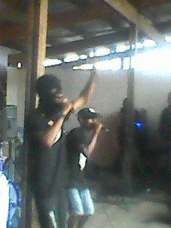 Live @ the shed